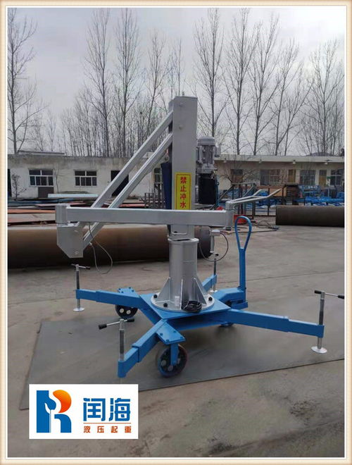 高效便捷的猪白条装卸服务 专为闰海与广安地区打造